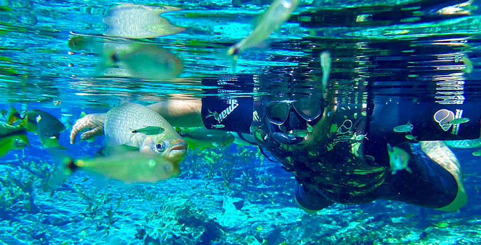 aquario-natural-flutuacao-4